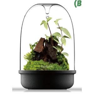 Bioloark Luji Glass Cup MQ-150 (fekete)