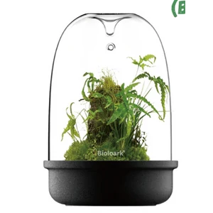 Bioloark Luji Glass Cup MQ-175 (fekete)