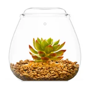 Bioloark Bubble Cup FOUR