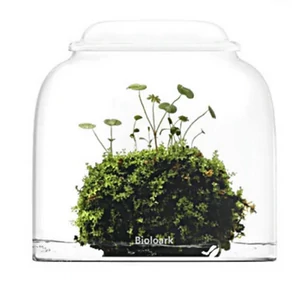 Bioloark Bubble Cup ONE