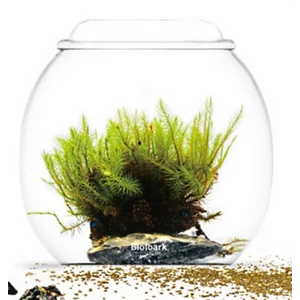 Bioloark Bubble Cup THREE