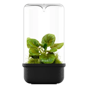 Bioloark Luji Glass Cup MH-120 (fekete)