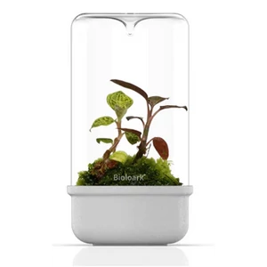 Bioloark Luji Glass Cup MH-120 (fehér)