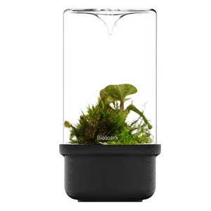 Bioloark Luji Glass Cup MH-80 (fekete)