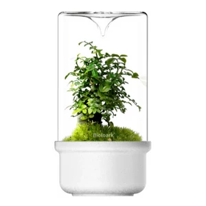 Bioloark Luji Glass Cup MH-80 (fehér)