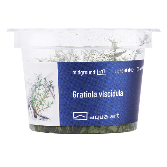 Gratiola viscidula - steril, zselés