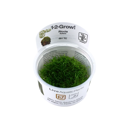 Tropica Riccia fluitans 1-2-Grow! úszó májmoha   (steril - zselés)