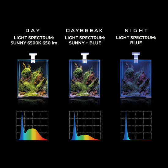 Aquael Shrimp Smart szett 30 day and night - fekete nano akvárium szett