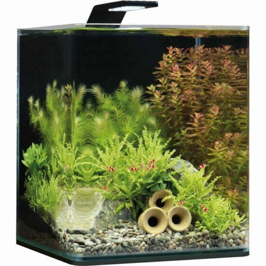 Dennerle NanoCube Basic akvárium szett - szűrővel, Style LED M lámpával - 20 liter