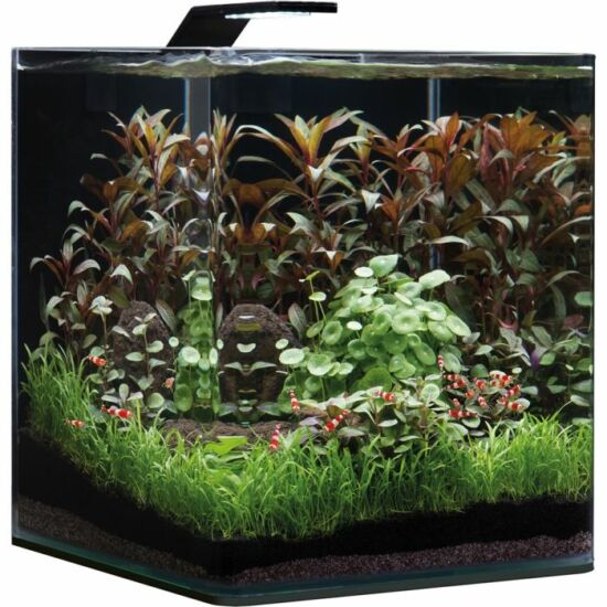 Dennerle NanoCube Basic akvárium szett - szűrővel, Style LED M lámpával - 30 liter