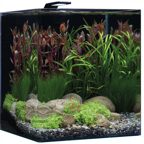 Dennerle NanoCube Basic akvárium szett - szűrővel, Style LED L lámpával - 60 liter
