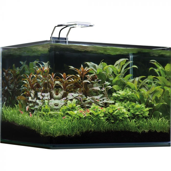 Dennerle Scaper's Tank Basic LED - akvárium szett szűrővel, LED 5.0 világítással - 35l