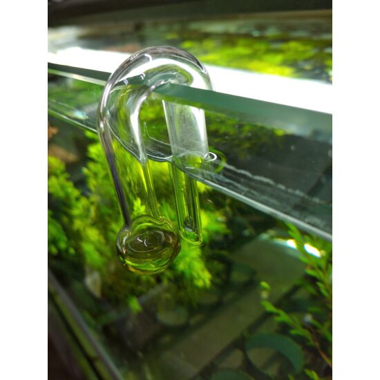 AquaNova CO2 üveg akasztós drop checker