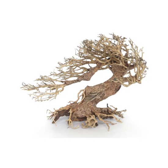 Amtra bonsai fa WOOD ORIENTAL WIND 3 M  30x13x23cm