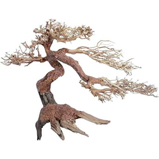 Amtra bonsai fa WOOD ORIENTAL WIND 5 M  30x10x20cm