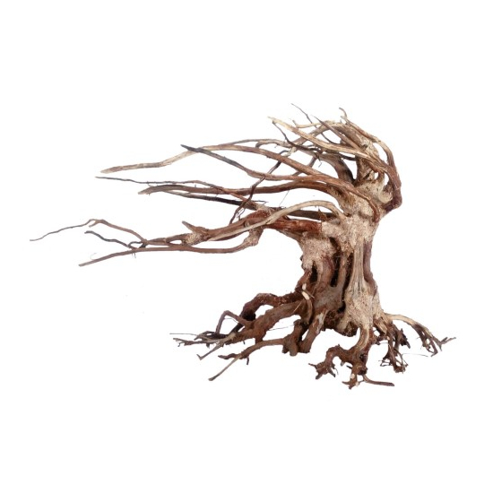 Amtra bonsai fa WOOD ORIENTAL WIND 6 M  30x13x23cm