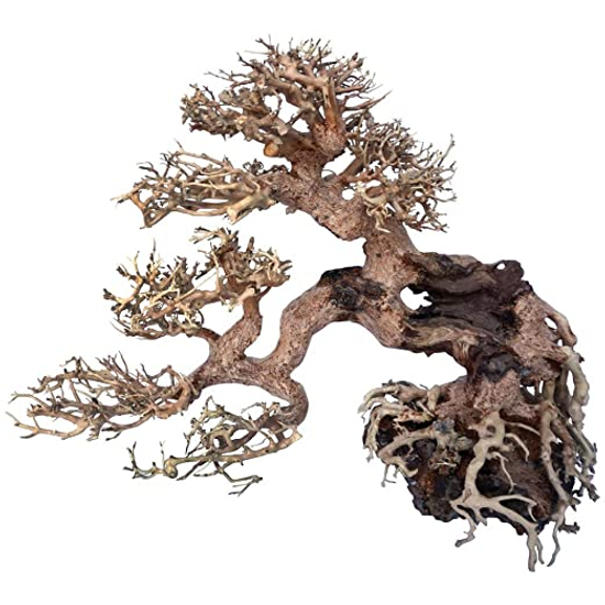 Amtra bonsai fa WOOD ORIENTAL WIND 7 S   20x80x15cm