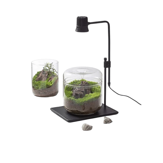 Bioloark Wabi-Kusa Lamp DX-5B