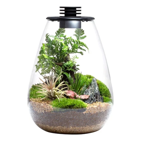 Bioloark Bio Bottle QD172