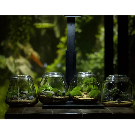 Bioloark Bubble Cup FOUR