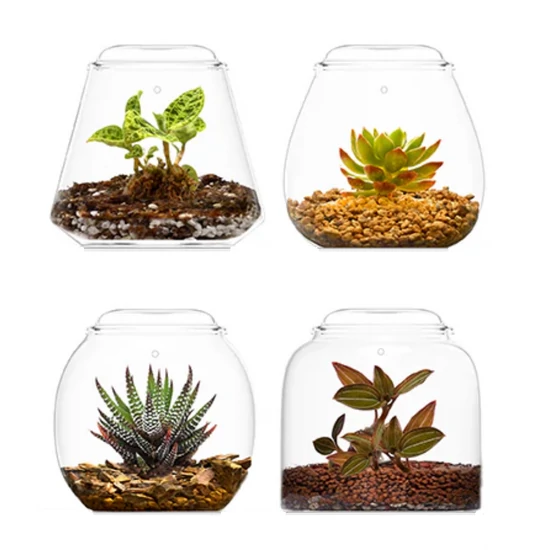 Bioloark Bubble Cup FOUR