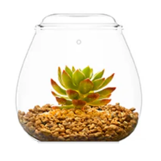 Bioloark Bubble Cup FOUR