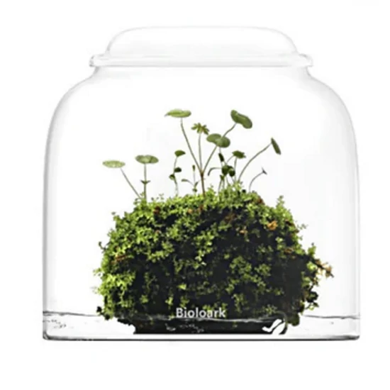 Bioloark Bubble Cup ONE