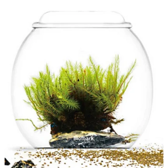Bioloark Bubble Cup THREE