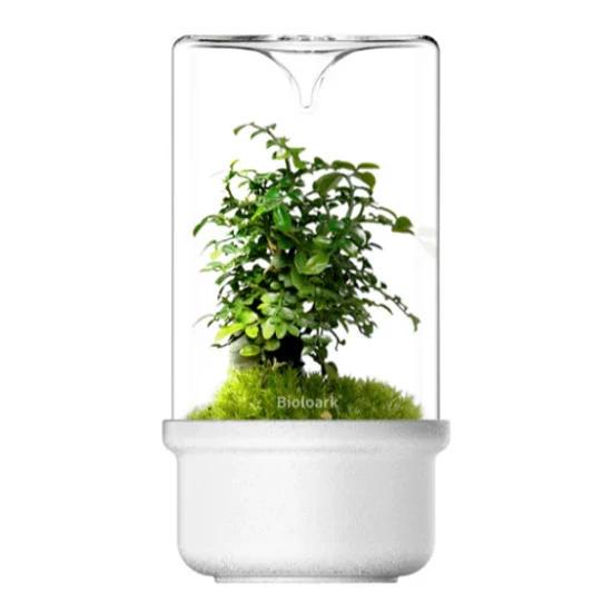 Bioloark Luji Glass Cup MH-80 (fehér)