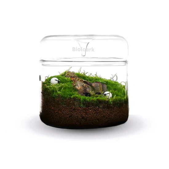 Bioloark Luji Glass Cup MY-150