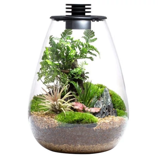 Bioloark Bio Bottle SD200