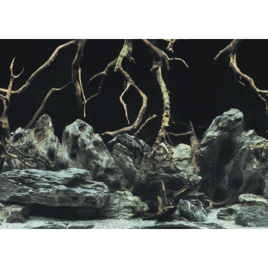 AquaNova akvárium háttér poszter (gyökerek/víz) 150x60