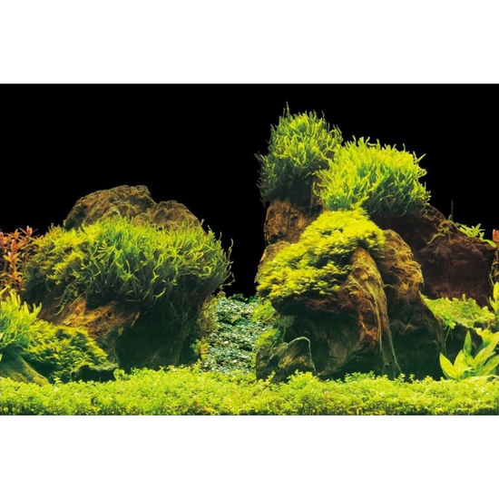 AquaNova akváriumi háttér poszter (sziklák/növények) 150x60cm