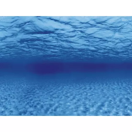AquaNova akvárium háttér poszter (gyökerek/víz) 60x30