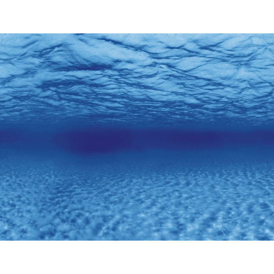 AquaNova akvárium háttér poszter (gyökerek/víz) 150x60