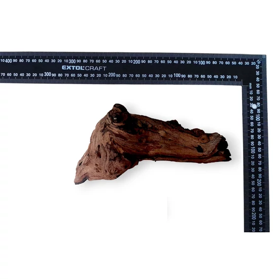 MOPANI SM (~20-30cm) - Mopani gyökér / db