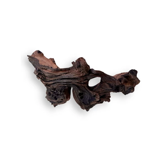 MOPANI SM (~20-30cm) - Mopani gyökér / db