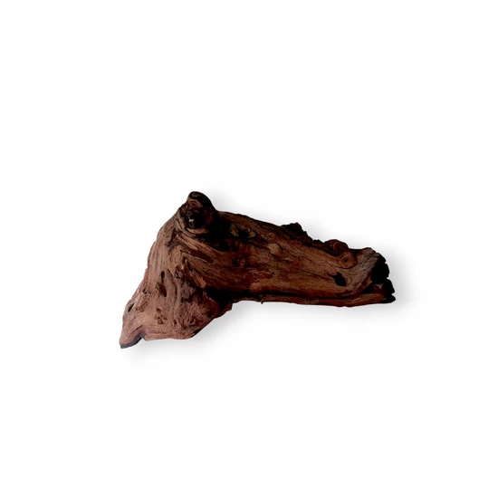 MOPANI M (~32-38cm) - Mopani gyökér / db