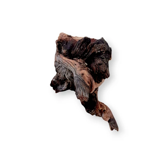 MOPANI SM (~20-30cm) - Mopani gyökér / db