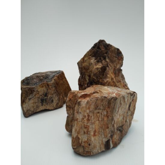 Fossilized Wood dekorkő - Megkövesedett fa / kg