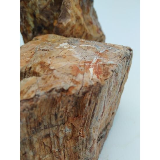 Fossilized Wood dekorkő - Megkövesedett fa / kg