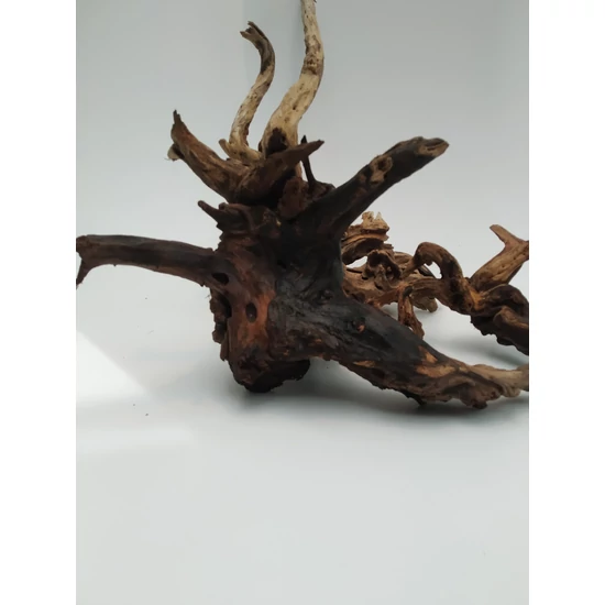 Drift Wood - vasfa / kg