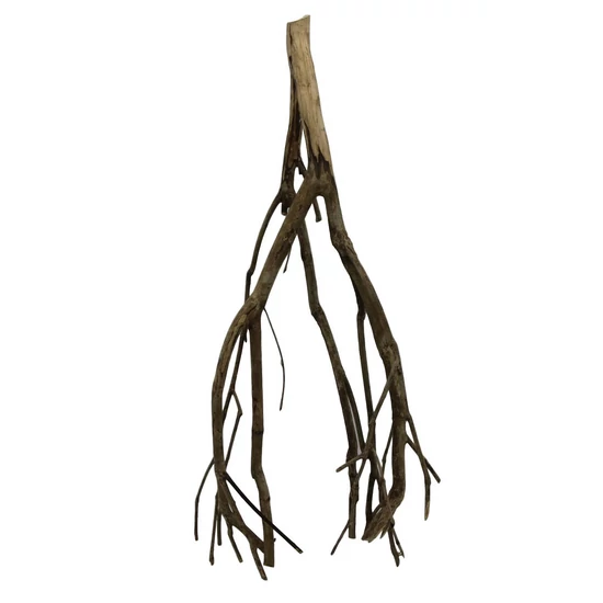 Talawa wood " L " ~ 60cm   /db