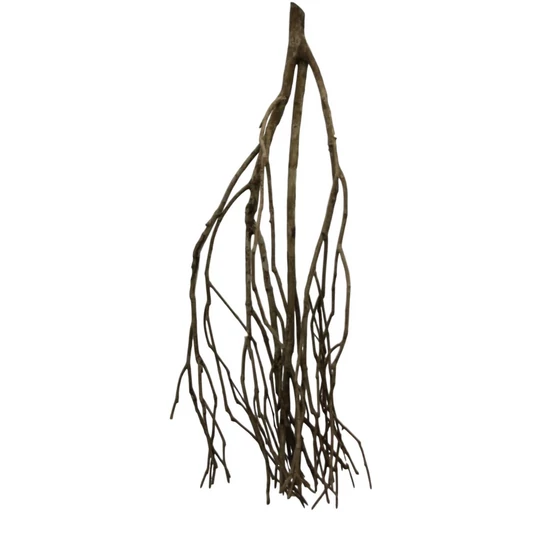 Talawa wood " L " ~ 60cm   /db