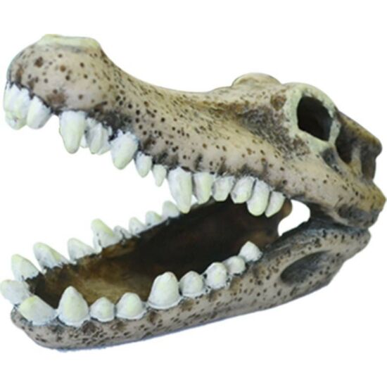 Krokodil koponya 11cm u778