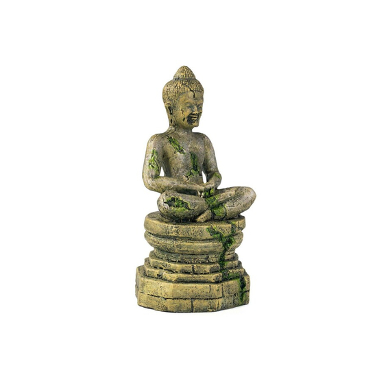 Dekor hindu buddha