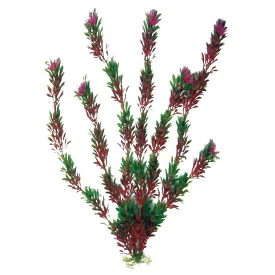 Amtra Műnövény Flora Bicolour M