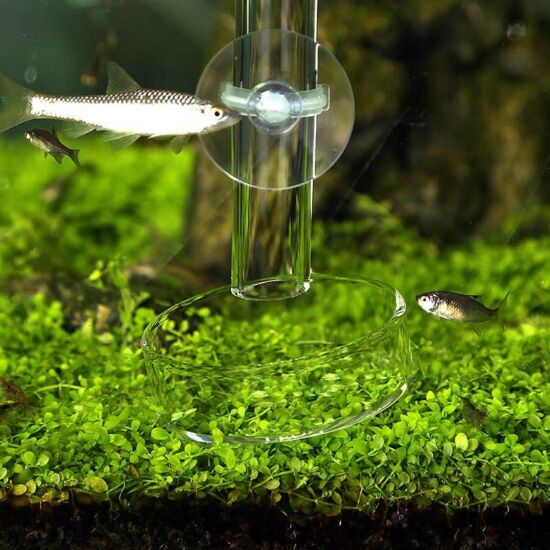 Aquaglass üveg garnéla etető cső - 25cm hosszú