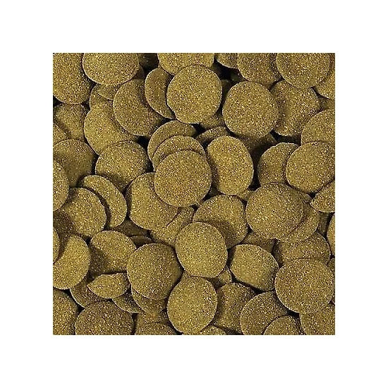 HIKARI ALGAE WAFERS 40 g