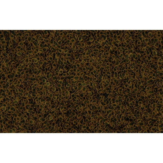 TetraPro Algae Multi-Crisps 500ml